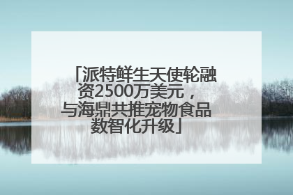 派特鲜生天使轮融资2500万美元，与海鼎共推宠物食品数智化升级