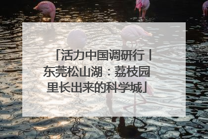 活力中国调研行丨东莞松山湖：荔枝园里长出来的科学城