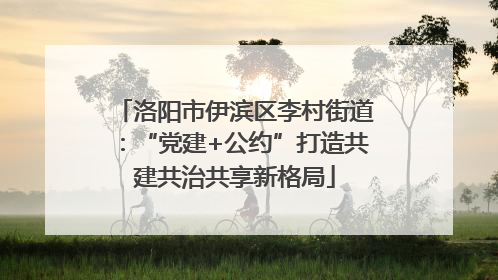 洛阳市伊滨区李村街道：“党建+公约”打造共建共治共享新格局