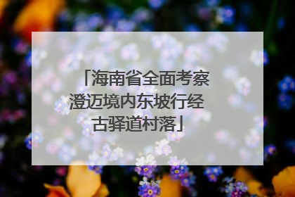 海南省全面考察澄迈境内东坡行经古驿道村落