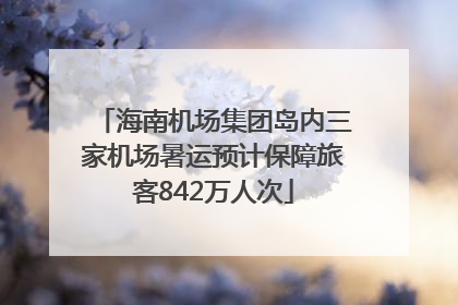 海南机场集团岛内三家机场暑运预计保障旅客842万人次