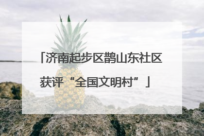 济南起步区鹊山东社区获评“全国文明村”