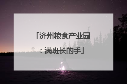 济州粮食产业园：满班长的手