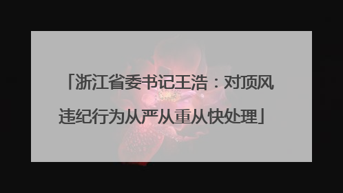 浙江省委书记王浩：对顶风违纪行为从严从重从快处理
