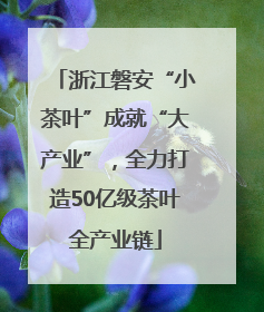 浙江磐安“小茶叶”成就“大产业”，全力打造50亿级茶叶全产业链