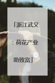 浙江武义：荷花产业助致富