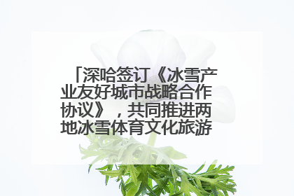 深哈签订《冰雪产业友好城市战略合作协议》，共同推进两地冰雪体育文化旅游高质量发展