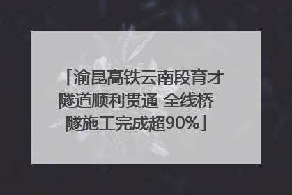 渝昆高铁云南段育才隧道顺利贯通 全线桥隧施工完成超90%