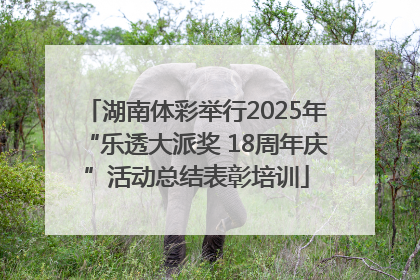 湖南体彩举行2025年“乐透大派奖 18周年庆”活动总结表彰培训