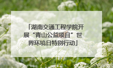 湖南交通工程学院开展“青山公益项目”世界环境日特别行动