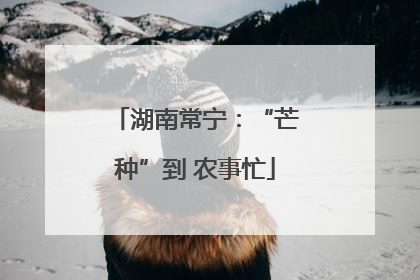 湖南常宁：“芒种”到 农事忙