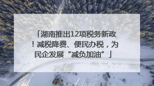 湖南推出12项税务新政！减税降费、便民办税，为民企发展“减负加油”