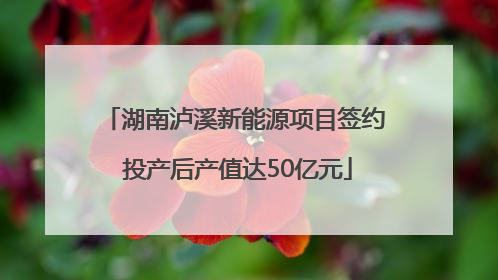 湖南泸溪新能源项目签约 投产后产值达50亿元