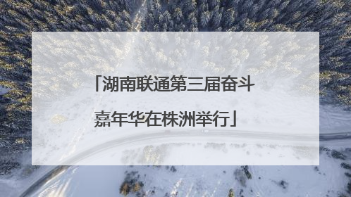湖南联通第三届奋斗嘉年华在株洲举行