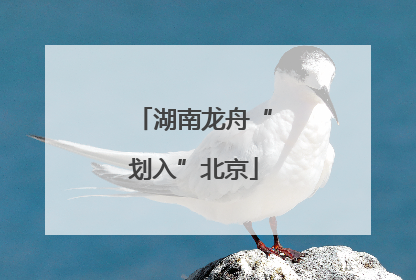 湖南龙舟“划入”北京