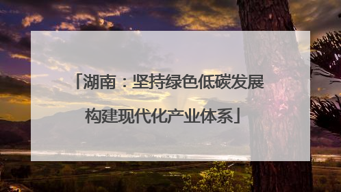 湖南：坚持绿色低碳发展 构建现代化产业体系