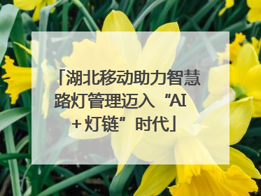 湖北移动助力智慧路灯管理迈入“AI＋灯链”时代