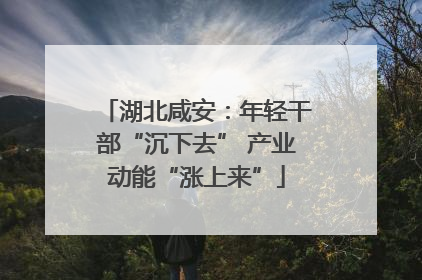 湖北咸安：年轻干部“沉下去” 产业动能“涨上来”