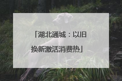 湖北通城：以旧换新激活消费热