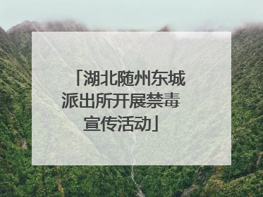 湖北随州东城派出所开展禁毒宣传活动
