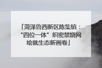 菏泽鲁西新区陈集镇：“四位一体”织密禁烧网 绘就生态新画卷