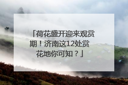 荷花盛开迎来观赏期！济南这12处赏花地你可知？