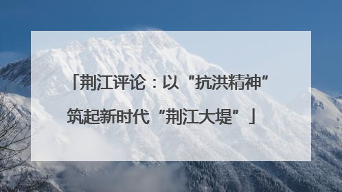 荆江评论：以“抗洪精神”筑起新时代“荆江大堤”