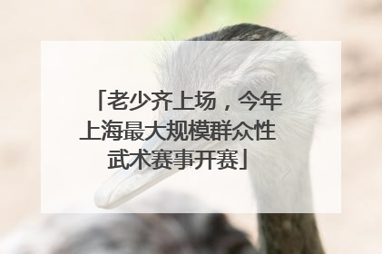 老少齐上场，今年上海最大规模群众性武术赛事开赛