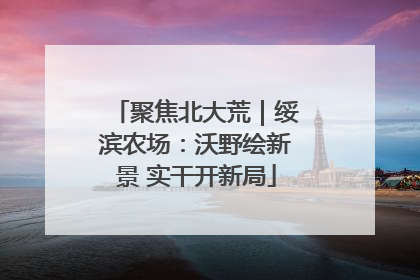 聚焦北大荒｜绥滨农场：沃野绘新景 实干开新局