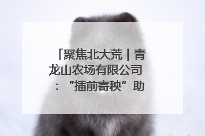 聚焦北大荒｜青龙山农场有限公司：“插前寄秧”助力农业节本增效