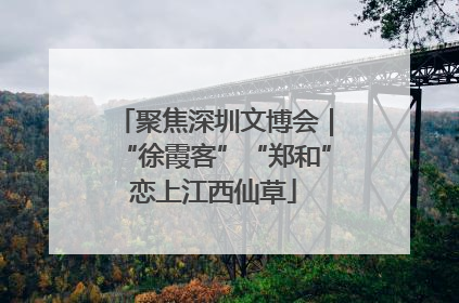 聚焦深圳文博会｜“徐霞客”“郑和”恋上江西仙草