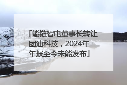 能链智电董事长转让团油科技，2024年年报至今未能发布