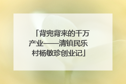 背兜背来的千万产业——清镇民乐村杨敏珍创业记