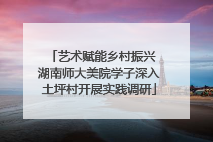 艺术赋能乡村振兴 湖南师大美院学子深入土坪村开展实践调研