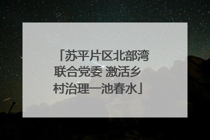 苏平片区北部湾联合党委 激活乡村治理一池春水