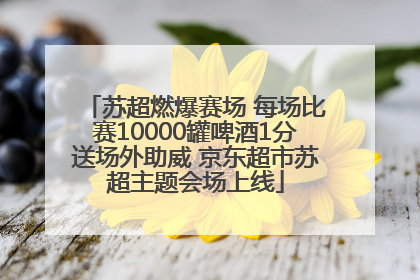 苏超燃爆赛场 每场比赛10000罐啤酒1分送场外助威 京东超市苏超主题会场上线