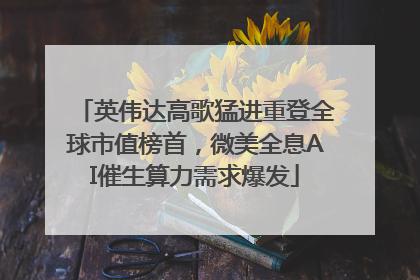 英伟达高歌猛进重登全球市值榜首，微美全息AI催生算力需求爆发
