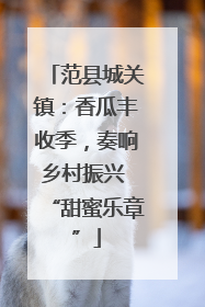 范县城关镇：香瓜丰收季，奏响乡村振兴 “甜蜜乐章”