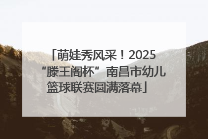 萌娃秀风采！2025“滕王阁杯”南昌市幼儿篮球联赛圆满落幕