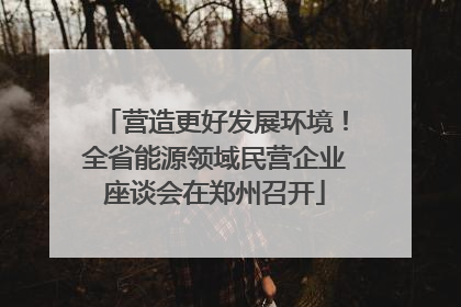 营造更好发展环境!全省能源领域民营企业座谈会在郑州召开
