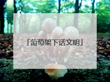 葡萄架下话文明