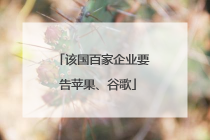 该国百家企业要告苹果、谷歌