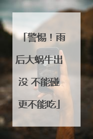 警惕！雨后大蜗牛出没 不能碰更不能吃
