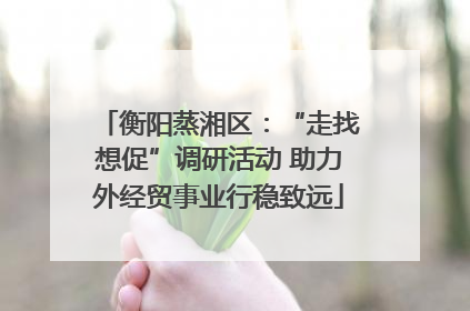 衡阳蒸湘区：“走找想促”调研活动 助力外经贸事业行稳致远