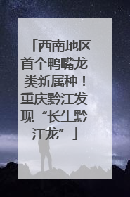 西南地区首个鸭嘴龙类新属种！重庆黔江发现“长生黔江龙”