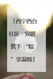 西宁西台社区：党群携手 “粽”享温情