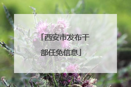 西安市发布干部任免信息