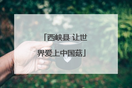 西峡县 让世界爱上中国菇