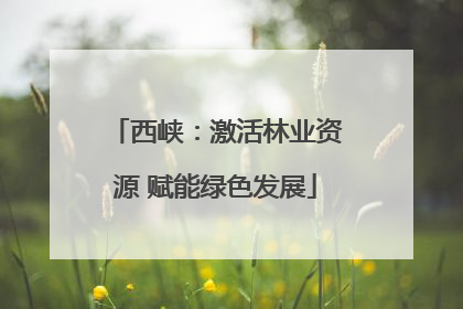西峡：激活林业资源 赋能绿色发展