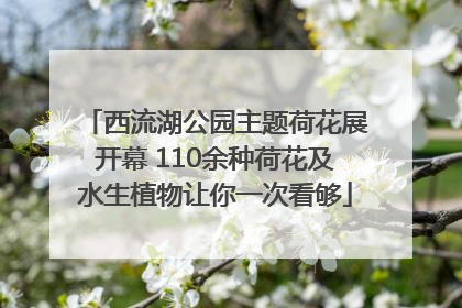 西流湖公园主题荷花展开幕 110余种荷花及水生植物让你一次看够